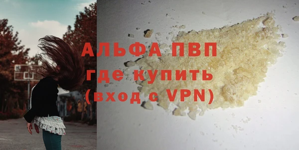 спиды Белокуриха