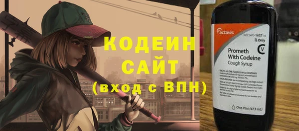 индика Беломорск