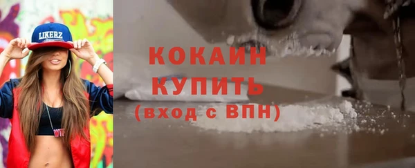 индика Беломорск