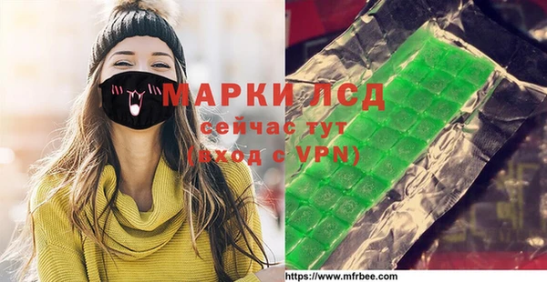 индика Беломорск
