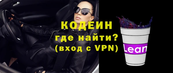 индика Беломорск