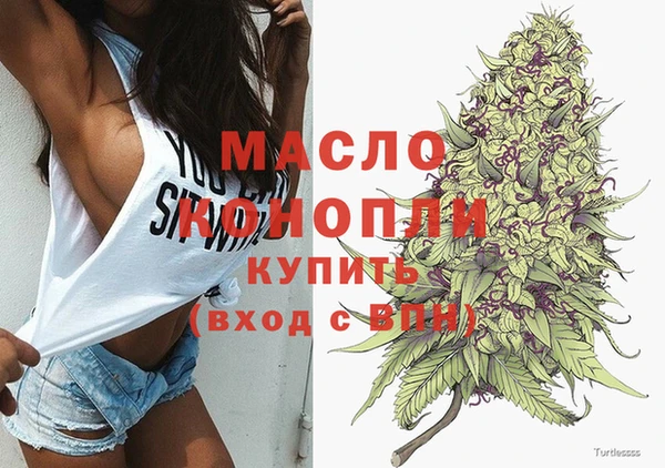 индика Беломорск