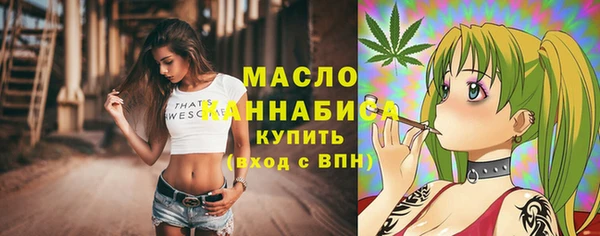 индика Беломорск