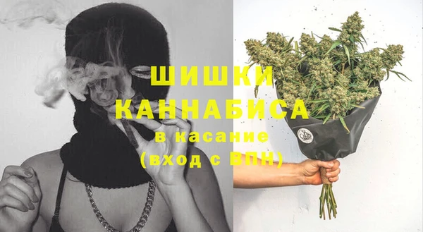 индика Беломорск